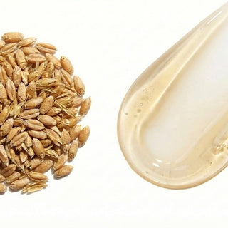 Aceite de germen de trigo