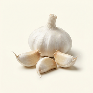Ajo (Allium sativum)