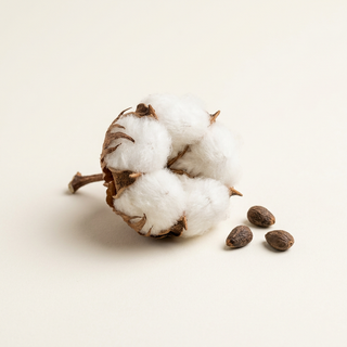 Aceite de semilla de algodón
