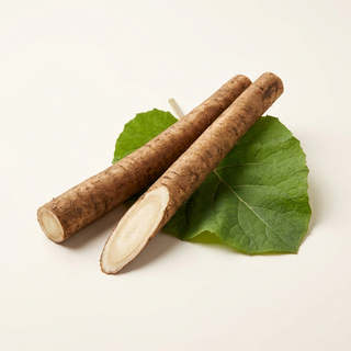 Bardana (Arctium majus)