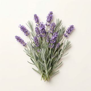 Agua de lavanda